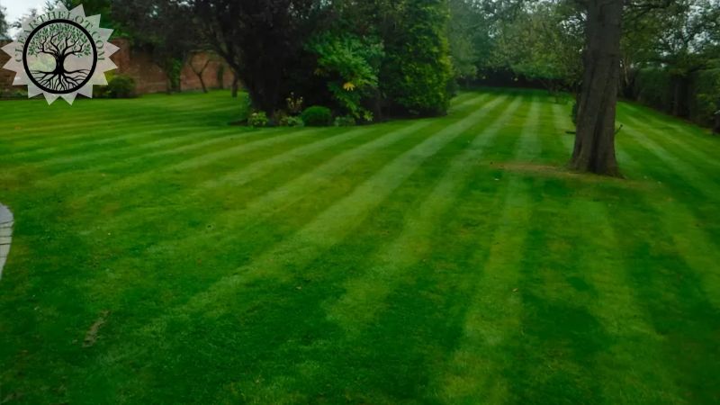 Garden Clearance | Garden clearance near me