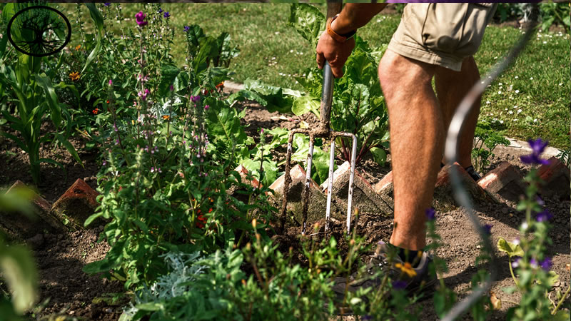 Garden Clearance | Garden clearance near me
