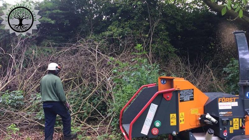 Garden Clearance | Garden clearance near me