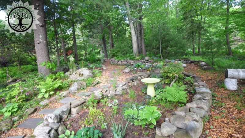 Garden Clearance | Garden clearance near me