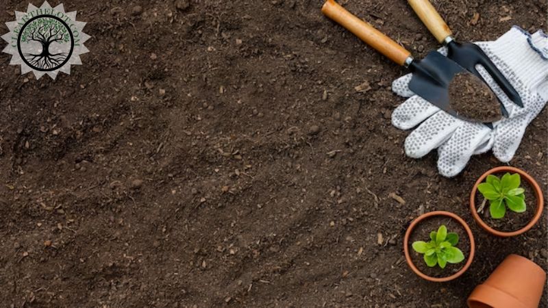 Garden Clearance | Garden clearance near me