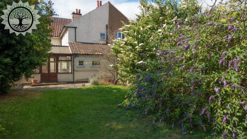 Garden Clearance | Garden clearance near me