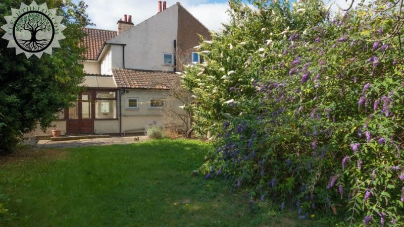 Garden Clearance | Garden clearance near me