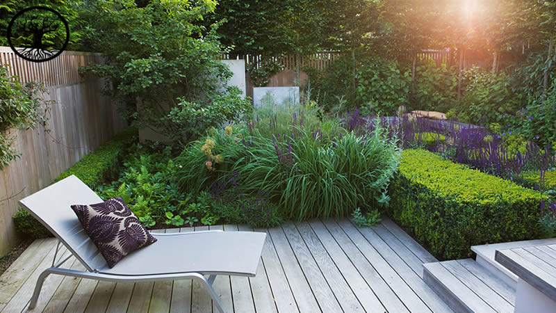 Garden Clearance | Garden clearance near me