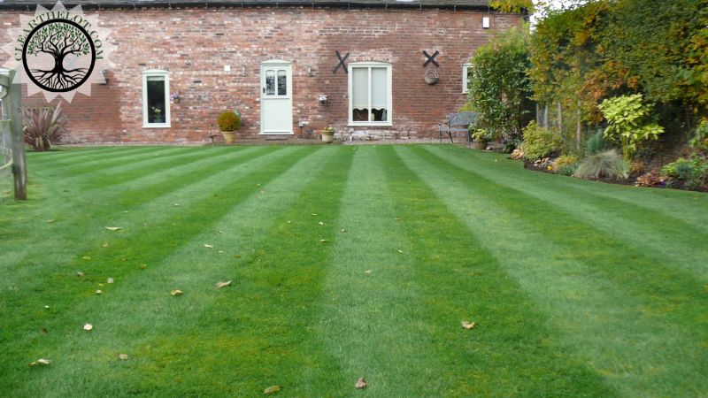 Garden Clearance | Garden clearance near me