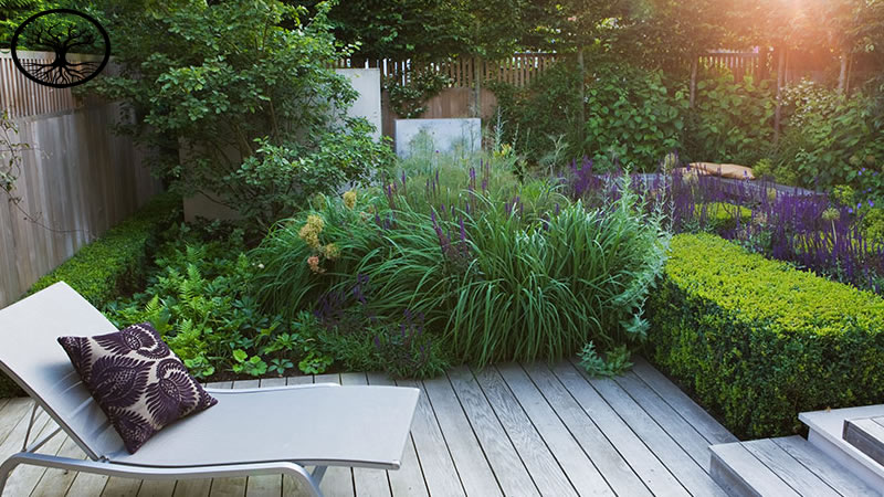 Garden Clearance | Garden clearance near me