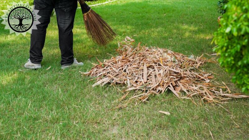 Garden Clearance | Garden clearance near me