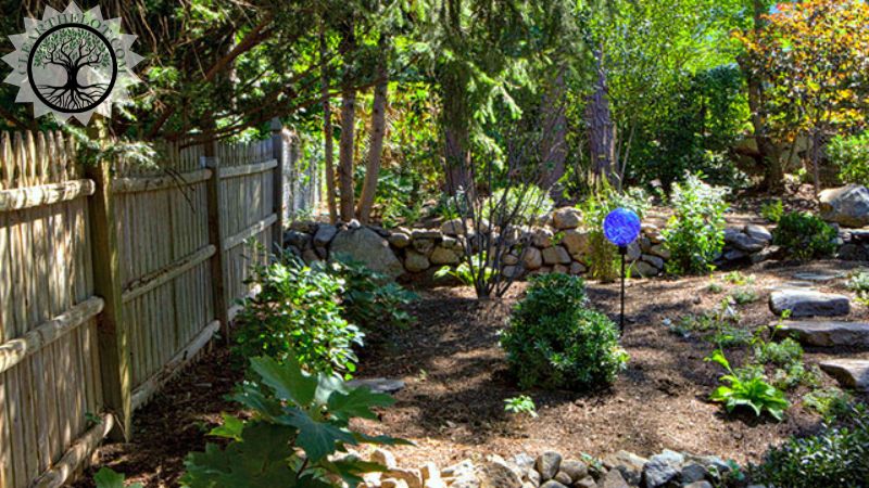 Garden Clearance | Garden clearance near me