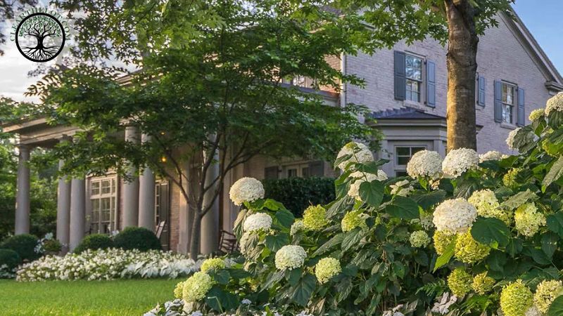Garden Clearance | Garden clearance near me