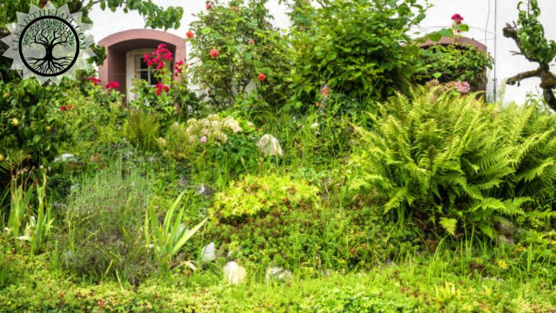 Garden Clearance | Garden clearance near me