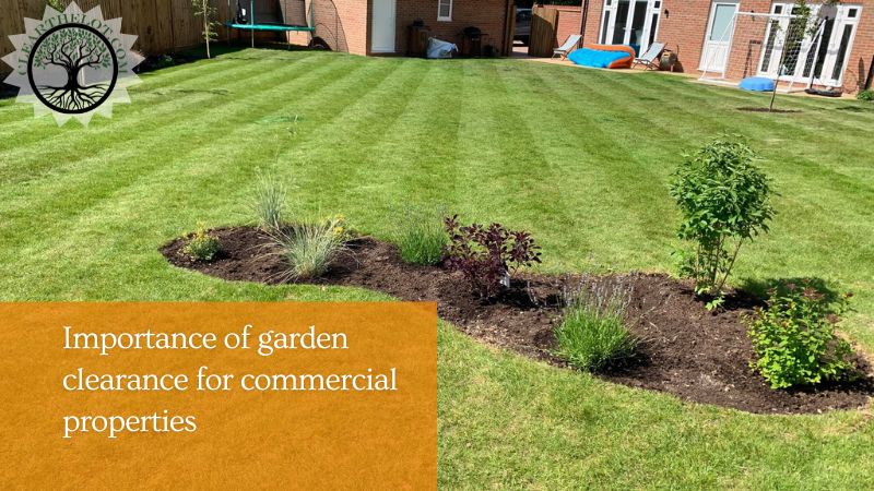 Garden Clearance | Garden clearance near me | Overgrown Garden Clearance