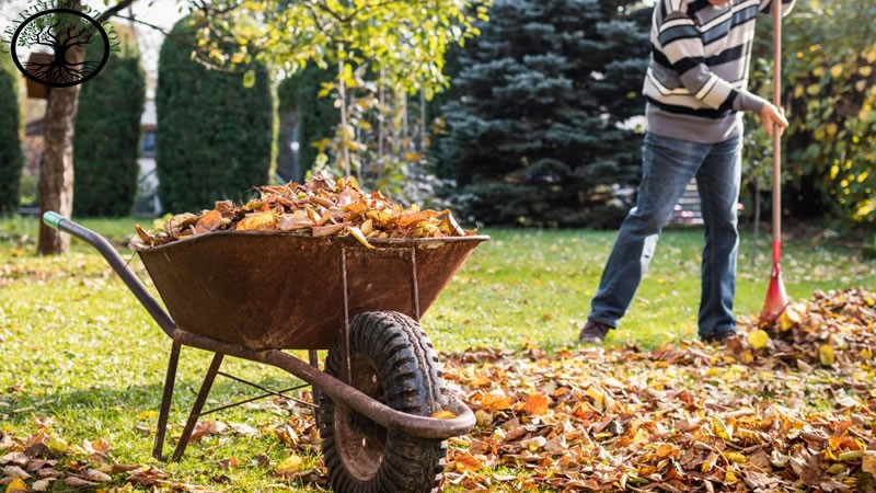 Garden Clearance | Garden clearance near me