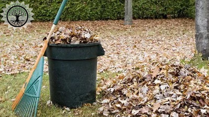 Garden Clearance | Garden clearance near me