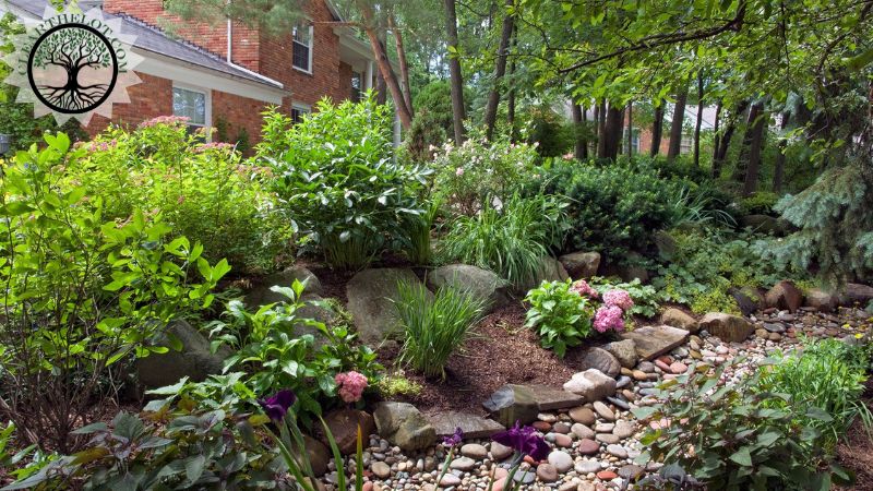Garden Clearance | Garden clearance near me