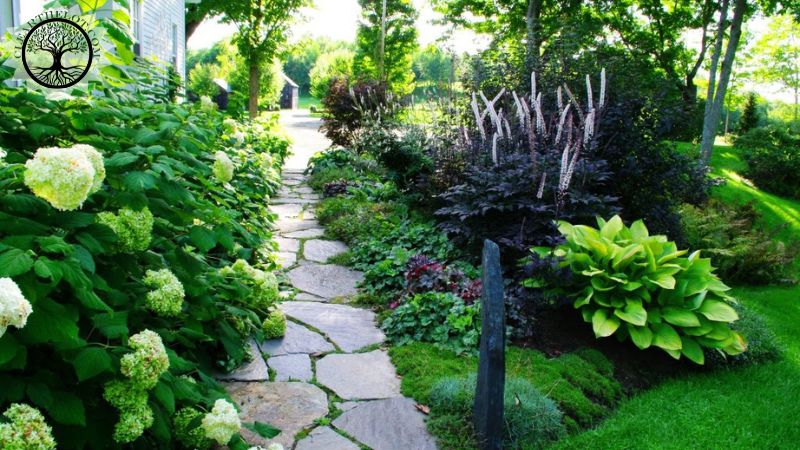 Garden Clearance | Garden clearance near me