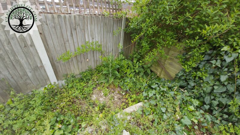Garden Clearance | Garden clearance near me
