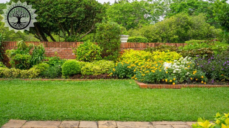Garden Clearance | Garden clearance near me | Overgrown Garden Clearance