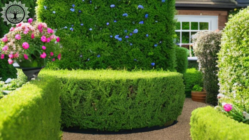 Garden Clearance | Garden Clearance near me | Same-Day Garden Clearance