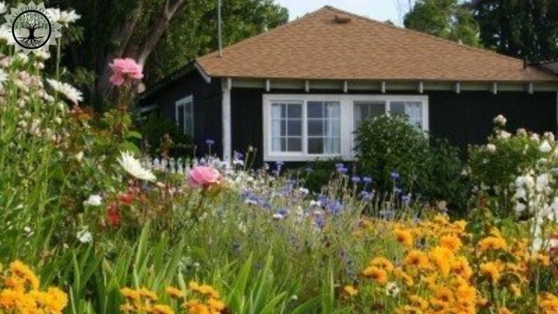 Garden Clearance | Customized garden clearance