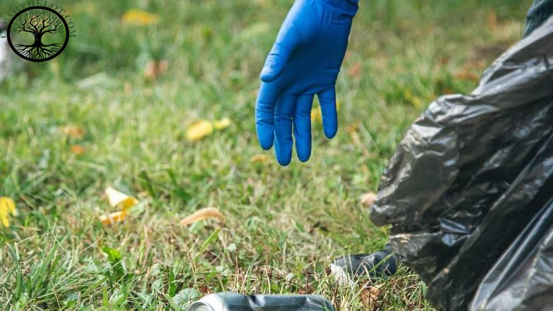 Garden Clearance | Affordable Garden Waste Removal