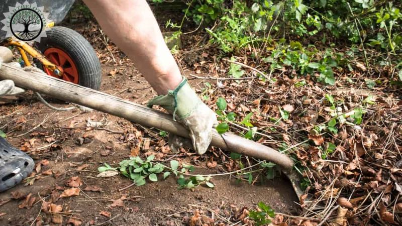 Garden Clearance | Garden clearance near me