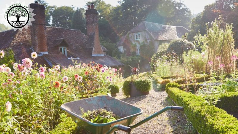 Garden Clearance | Same day garden clearance