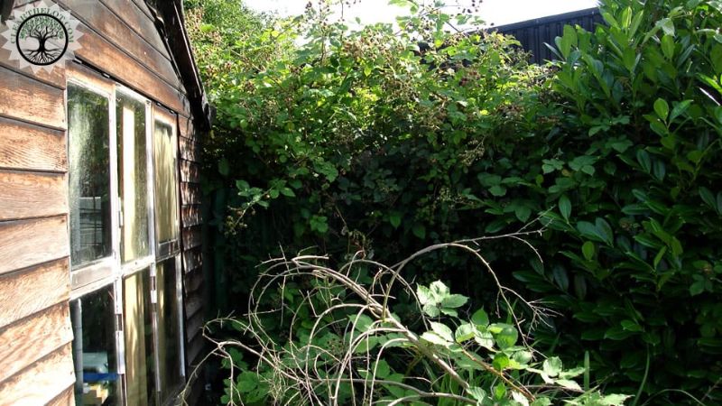 Garden Clearance | Garden clearance near me