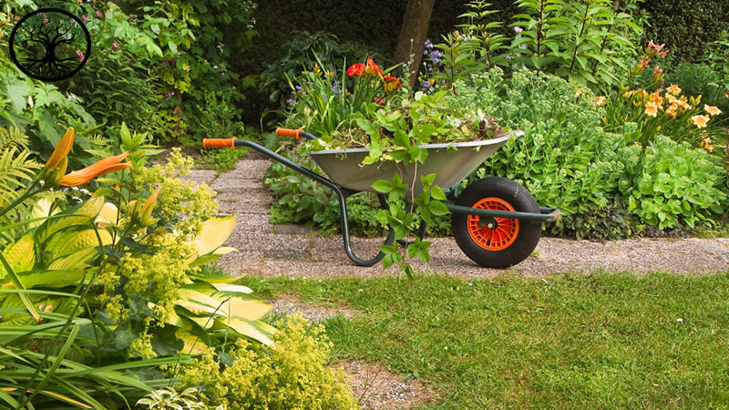 Garden Clearance | Green waste removal for gardens