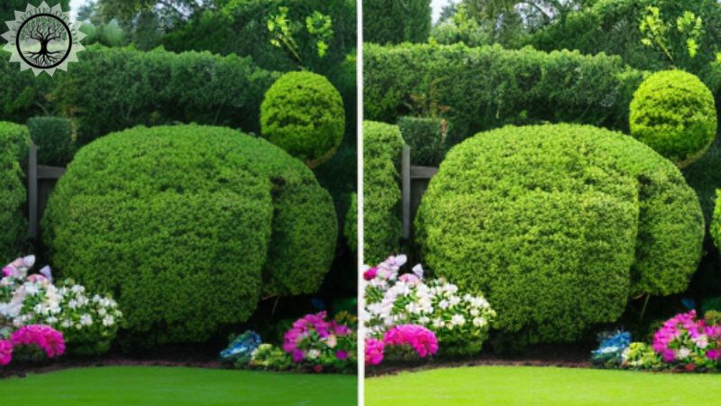 Garden Clearance | Garden Clearance near me | Property Managers