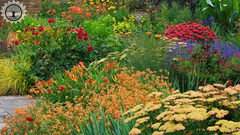 Garden Clearance | Customized garden clearance