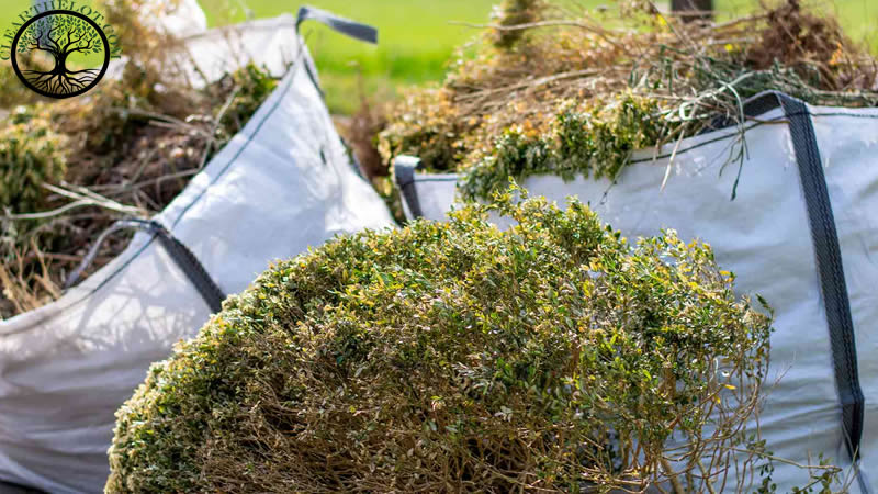 Garden Clearance | Green waste removal for gardens