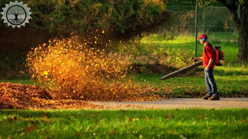Garden Clearance | Garden clearance near me