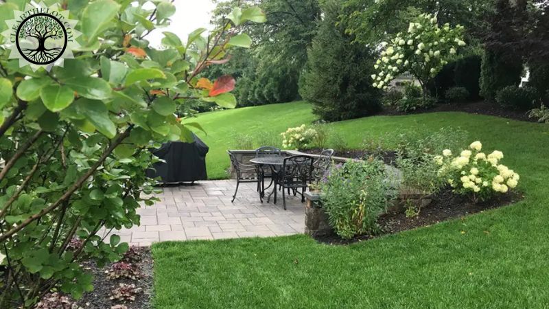 Garden Clearance | Same day garden clearance
