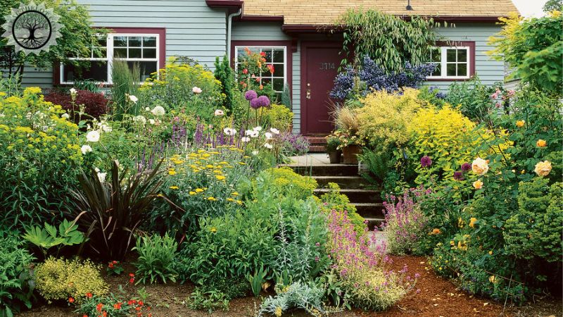 Garden Clearance | Customized garden clearance