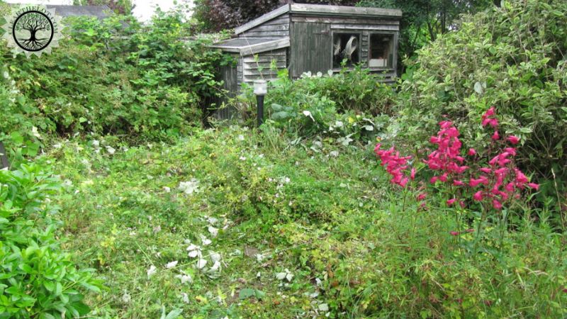 Garden Clearance | Garden clearance near me