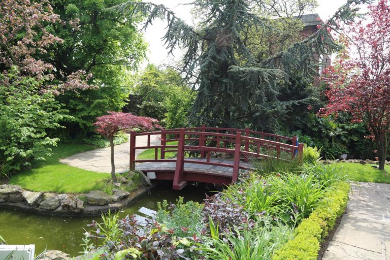 Garden Clearance | Garden clearance near me | Overgrown Garden Clearance | Overgrown Garden Clearance | Local Garden Clearance | Garden Clearance Cost | Garden Clearance Near Me