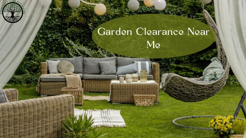 Garden Clearance | Garden clearance near me | Overgrown Garden Clearance | Overgrown Garden Clearance | Overgrown Garden Clearance Near Me | Local Garden Clearance | Garden Clearance Cost | Garden Clearance Near Me