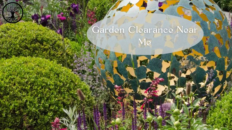 Garden Clearance | Garden clearance near me | Overgrown Garden Clearance | Overgrown Garden Clearance | Overgrown Garden Clearance Near Me | Local Garden Clearance | Garden Clearance Cost | Garden Clearance Near Me