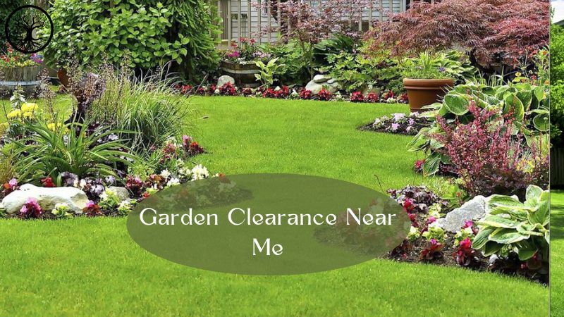 Garden Clearance | Garden clearance near me | Overgrown Garden Clearance | Overgrown Garden Clearance | Overgrown Garden Clearance Near Me | Local Garden Clearance | Garden Clearance Cost | Garden Clearance Near Me