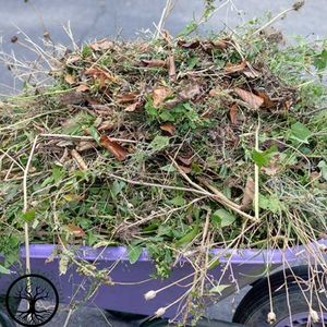 Garden Clearance | Garden clearance near me