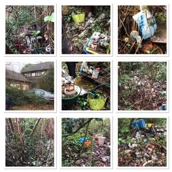 Garden Clearance Garden Clearance Near Me