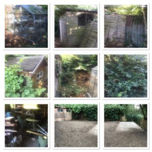 garden clearance experts - work examples 3