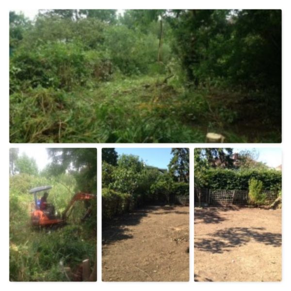 Garden Clearance Garden Clearance Near Me