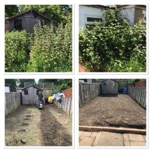 garden clearance work example 7