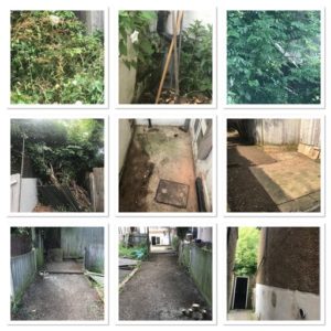 Garden Clearance - Work Examples