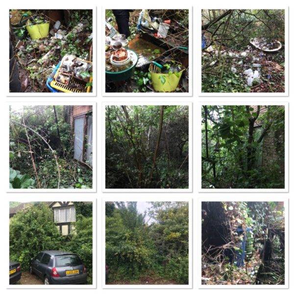 Garden Clearance Garden Clearance Near Me