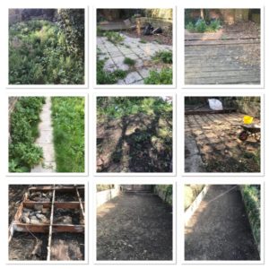 garden clearance services - work examples 2