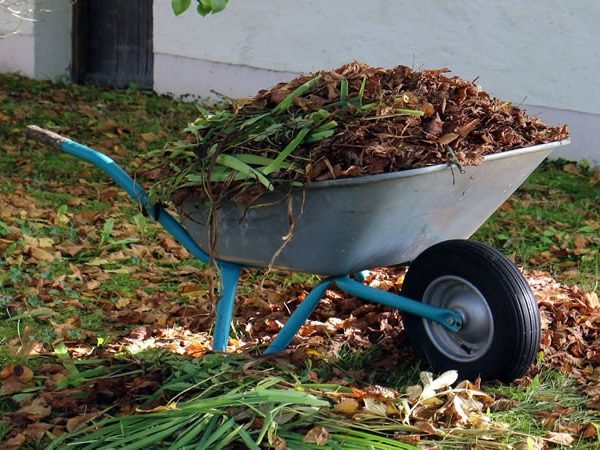 garden clearance