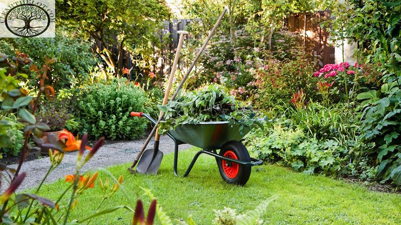 House Clearance | Garden Clearance Near Me