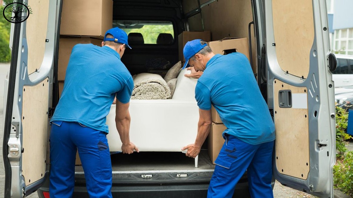 HouseclearanceSolutions to Use around Your Home Clear The Lot House Clearance